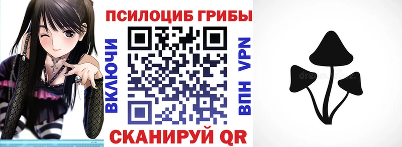 Псилоцибиновые грибы Psilocybe  Усть-Лабинск 